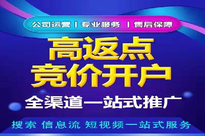 竞价广告赚钱案例：从新手到专家